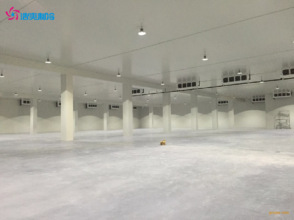 建造一個冷庫大概需要多少錢？