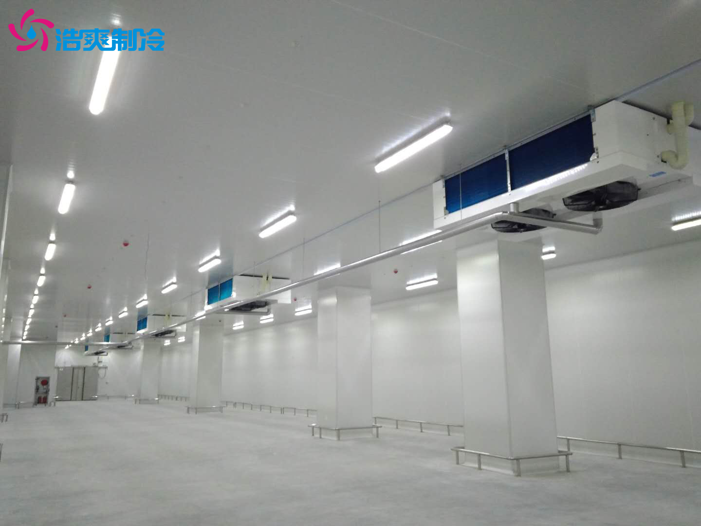 建造一個冷庫大概需要多少錢？