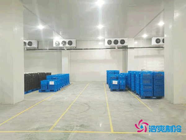 建造一座5000平方米的冷藏庫造價(jià)需要多少資金？