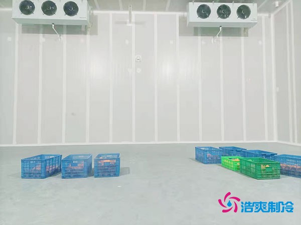 200噸蔬菜保鮮冷庫造價多少錢？需要多大面積？