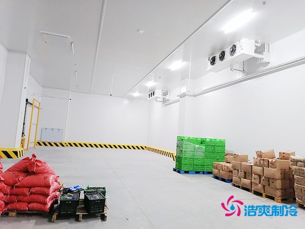 200噸蔬菜保鮮冷庫造價多少錢？需要多大面積？
