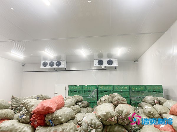 建造一個面積為100平方米的香菇保鮮庫造價需要多少費用？