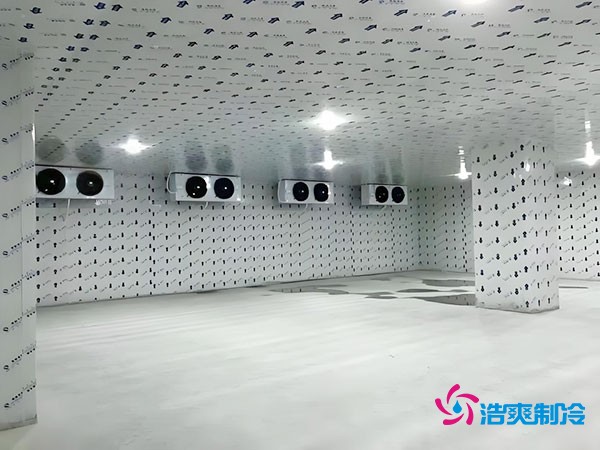 100平方冷凍庫設(shè)計(jì)安裝造價(jià)多少錢？