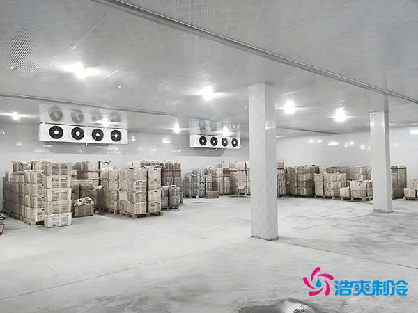 100平方米食品冷庫造價的詳細解析及專業(yè)建議