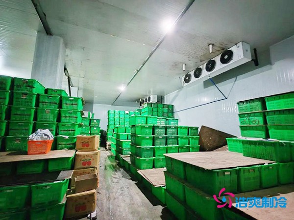 水果保鮮冷庫建造價格每平米多少錢？
