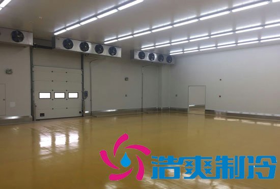 江蘇1000㎡禽蛋類冷庫(kù)(低溫冷藏庫(kù))建造安裝成本多少