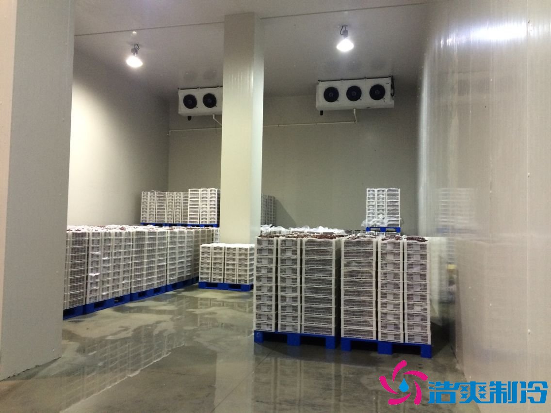 5000平米生鮮電商冷庫(冷鏈中心配送冷庫)怎么核算價(jià)格