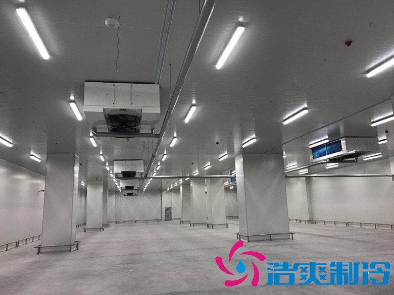 港口冷鏈冷庫市場趨勢和現(xiàn)狀，萬噸港口冷鏈低溫倉儲造價預算