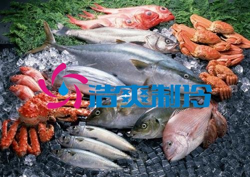浩爽制冷，海鮮冷凍庫、食品冷凍庫